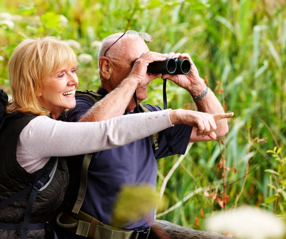 Birds, bugs & binocular mishaps—birdwatching in Palo Verde with jokes as bad as the bug bites.