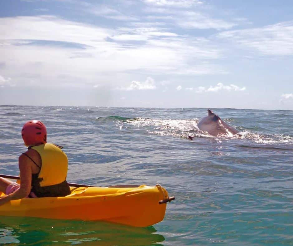 Kayak Costa Rica’s coast as humpbacks breach nearby—whale watching at sea level is unforgettable. Paddle with purpose (and a dry bag).

