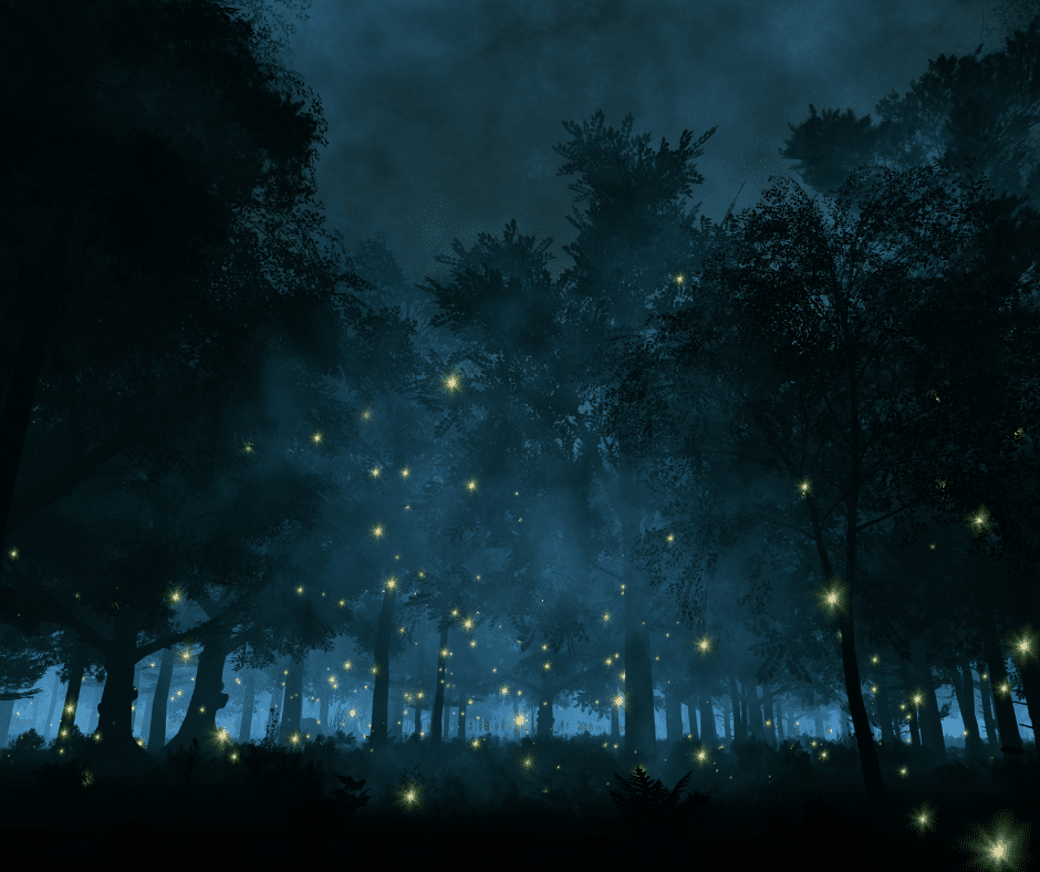 From May to September, Costa Rica glows with fireflies, folklore, and blooming Guarumo trees—where magic and memory dance under the stars.