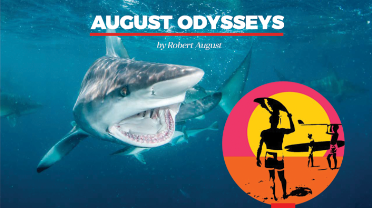 August Odysseys – “Shark” Endless Summer