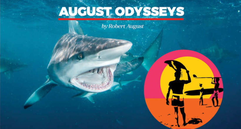 August Odysseys – “Shark” Endless Summer