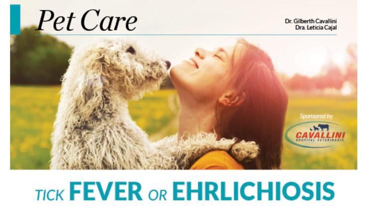 Pet Care – Tick fever or Ehrlichiosis