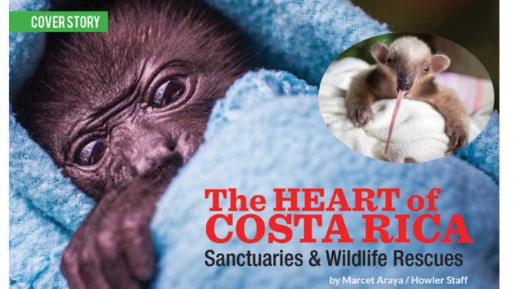 Cover Story – The Heart of Costa Rica: Sanctuaries and Wildlife Rescues