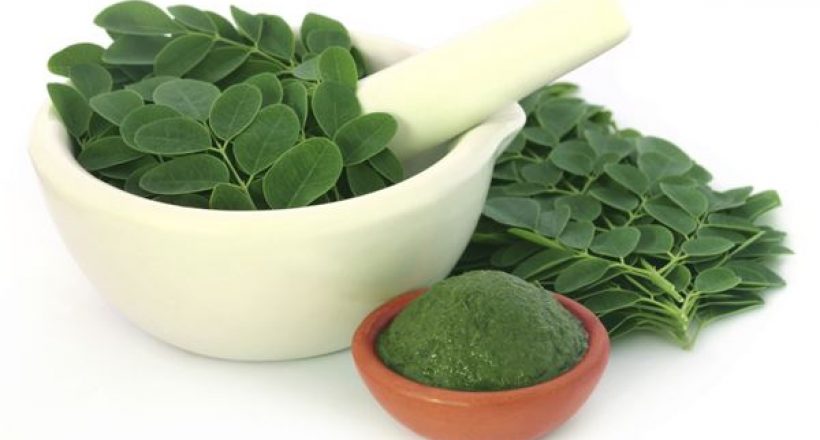 Wellness – Super foods: Four Ways to Cook with Moringa