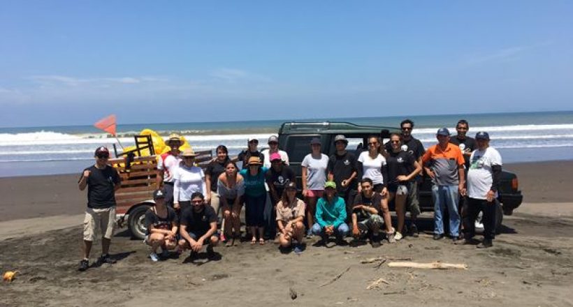 Sea Shepherd – Volunteering With Sea Shepherd Costa Rica