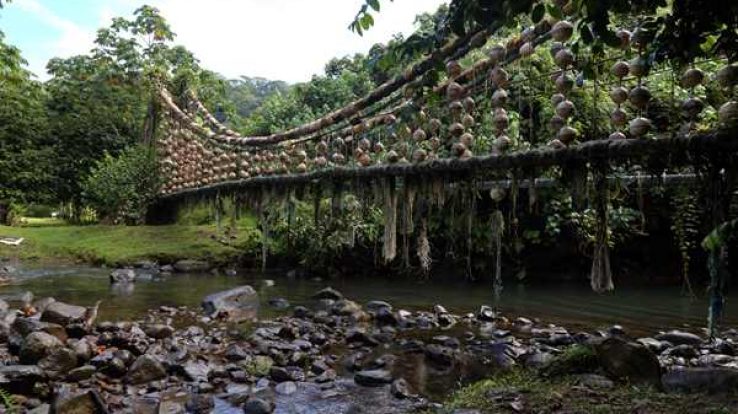 Featured Adventure – Cocos Island, Costa Rica’s Treasure