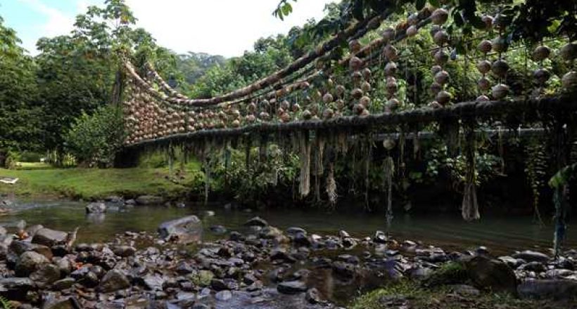 Featured Adventure – Cocos Island, Costa Rica’s Treasure