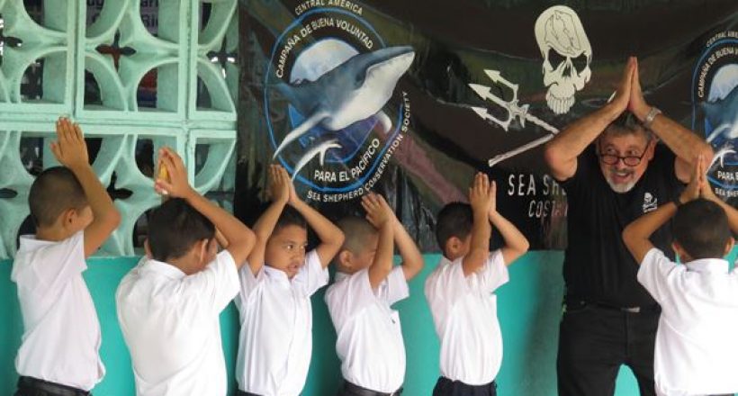 Sea Shepherd – Ambient Ambassadors, Goodwill Campaign for the Pacific