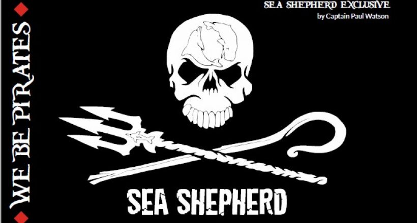 Sea Shepherd – We Be Pirates