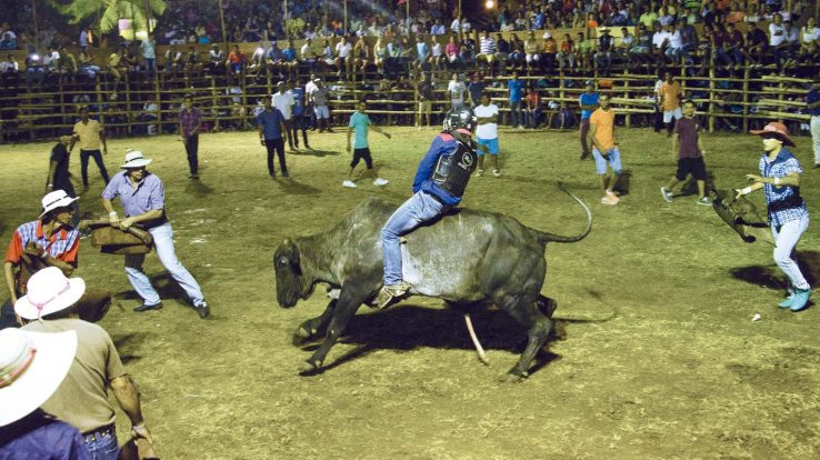 Lifestyle Feature – Bull Riding 101, a Q&A with Two Fearless Cowboys