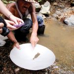 Ecotourism panning-for-gold-in-Costa-Rica-Caminos-de-Osa-Osa-Peninsula-