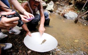 Ecotourism panning-for-gold-in-Costa-Rica-Caminos-de-Osa-Osa-Peninsula-