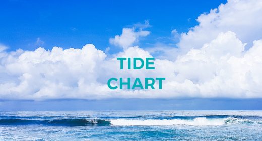 Costa Rica Tide Chart November 2018
