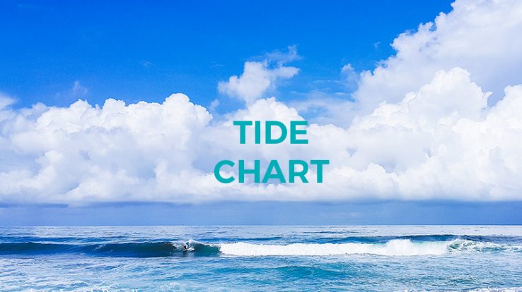 Costa Rica Tide Charts March and April 2020