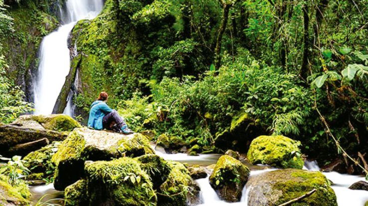 Benefits of Nature-Costa Rica Natural High