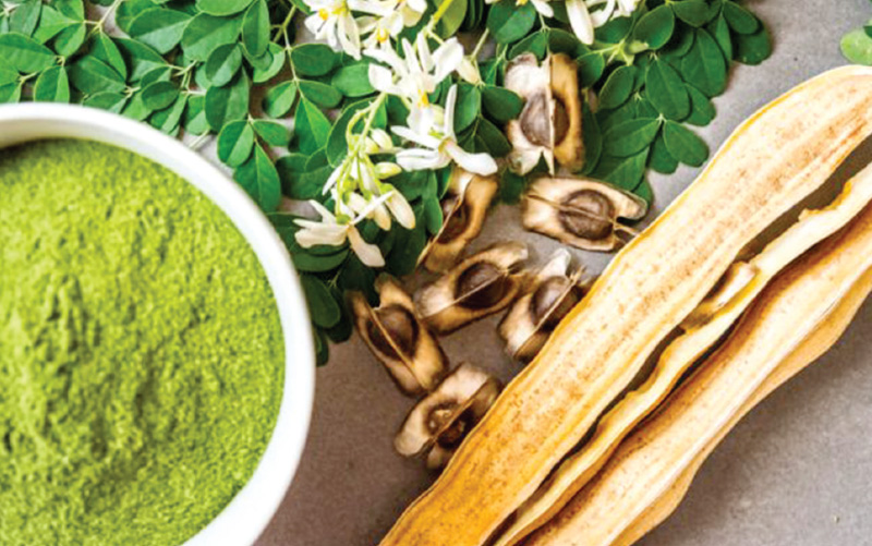 Moringa Costa Rica Superfoods Nutrient-dense food