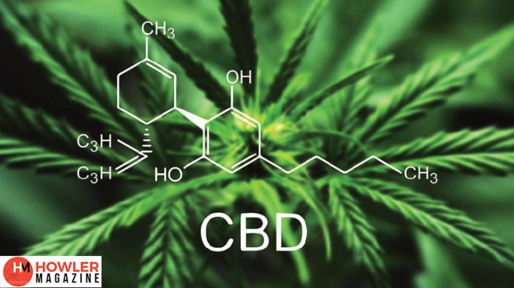 CBD Oil-Nature’s Miracle Cure