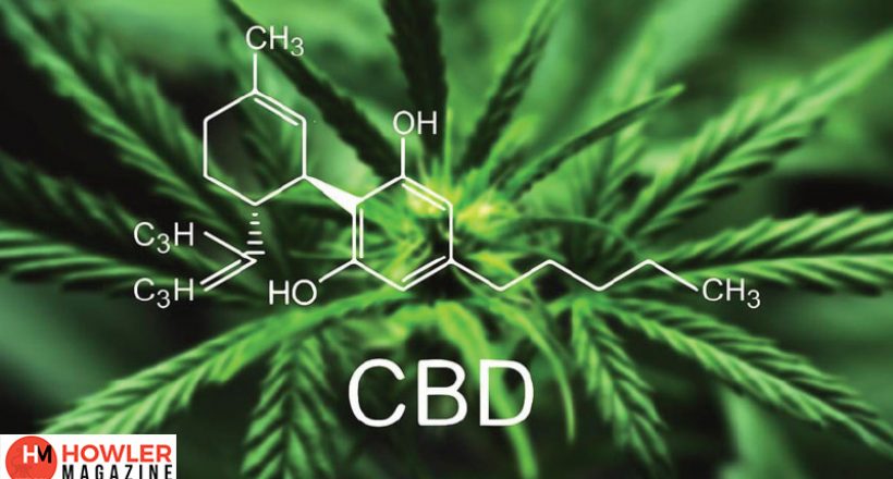 CBD Oil-Nature’s Miracle Cure