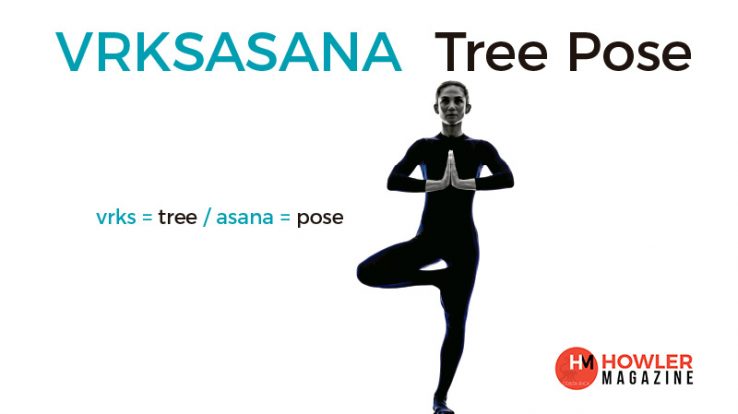 Yoga Tree Pose: Vrksasana – Yogapedia