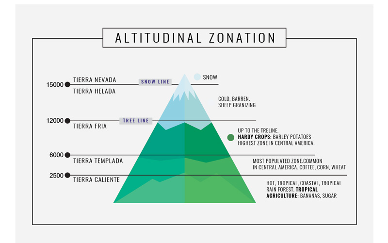 Altitudinal zonation Elevation affect climate