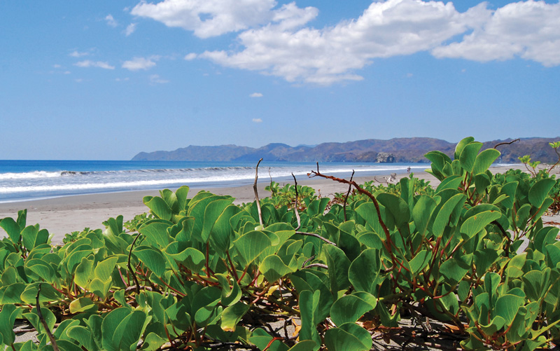 Santa_Rosa_National_Park