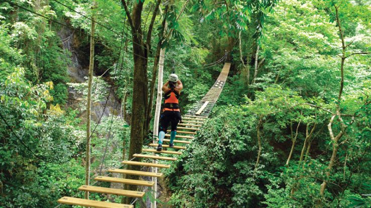 Sky Bridge Tour Rainforest Adventures