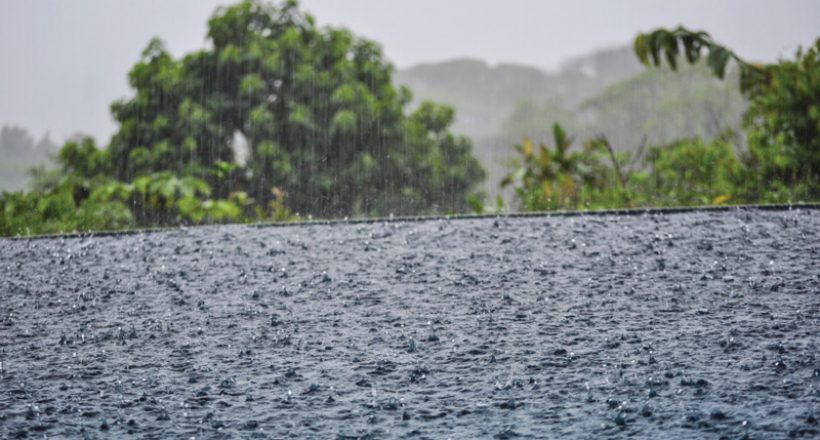 Locos Dos -SURVIVING Costa Rica: Rainy Season and Football
