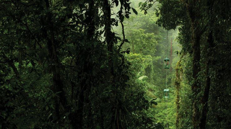 Rainforest Adventure Tram Trip – Short ride from San José towards Caribbean or in Jacó