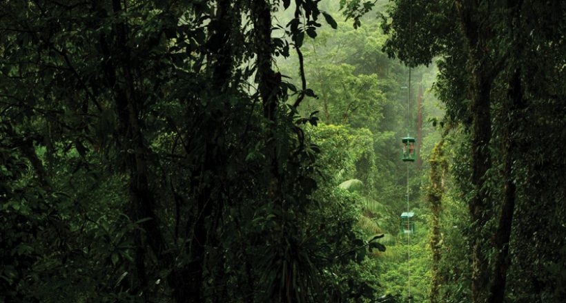 Rainforest Adventure Tram Trip – Short ride from San José towards Caribbean or in Jacó