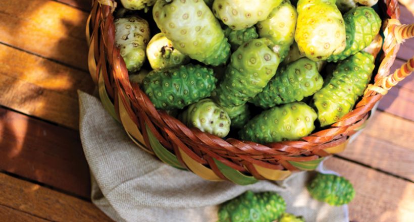 Super foods – Nutritious Noni