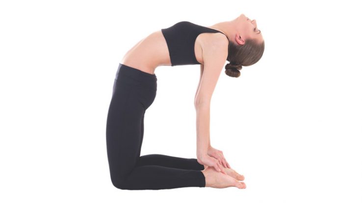 Ustrasana Camel Pose – Yogapedia