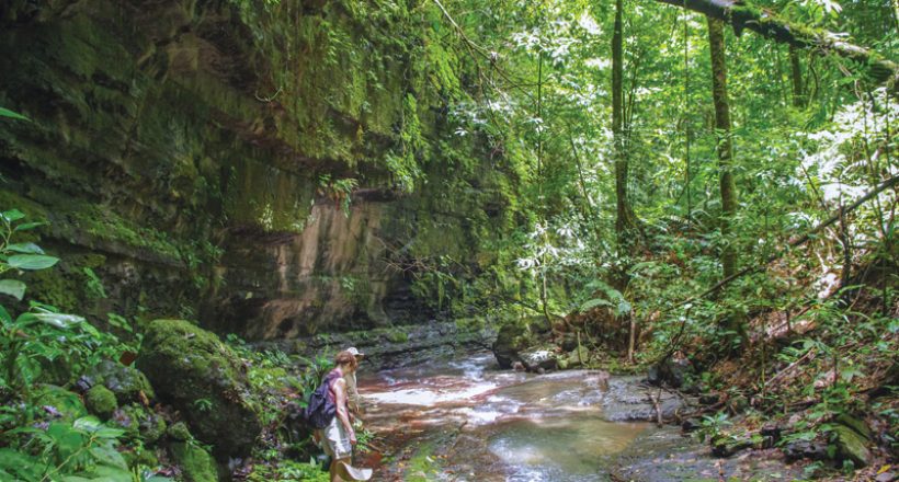 La Cangreja National Park, just a Short Drive from San José