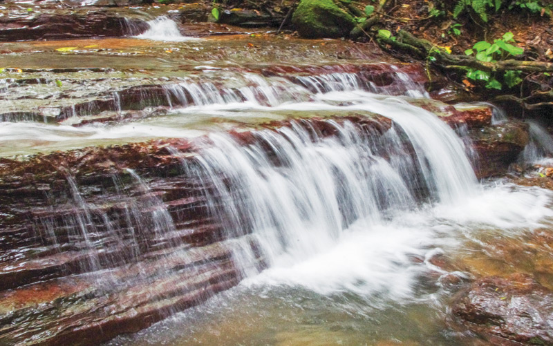 la-cangreja-national-park-waterfall-costa-rica