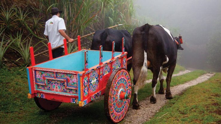 Wheels to the World – Ox cart of bygone era a cultural treasure today