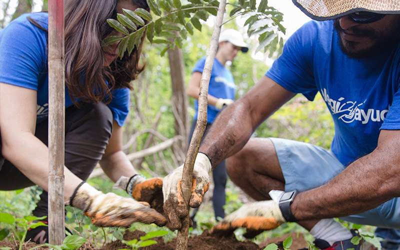 Reserva-Conchal-Employee-Volunteer-tree-planting-Parque-Marino-las-Baulas