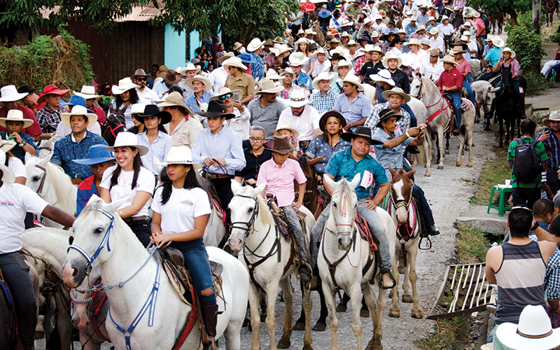 horses are a huge part of the costa rican fiestas