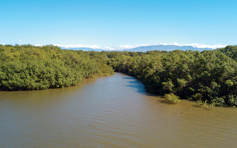 Damas Island Costa Rica