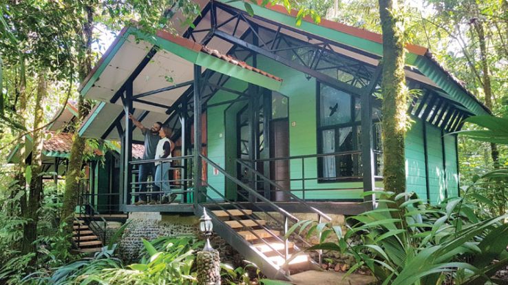 Tapirus Lodge Costa Rica: A Naturalist’s Dream Come True