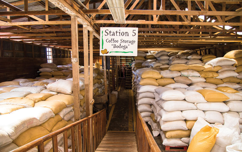 you must try the local organic coffee grown in the Monteverde region of costa rica