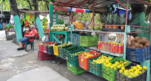 Visiting the Fruit and Vegetable Stand