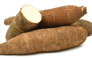 yuca