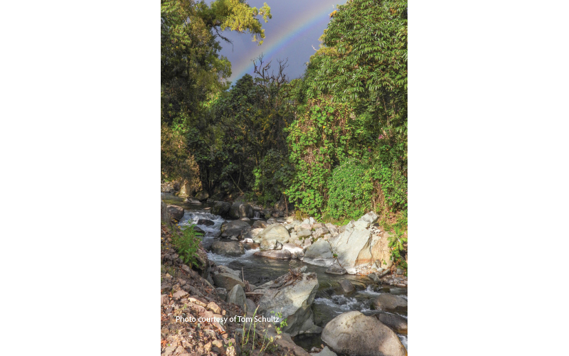 savegre river costa rica