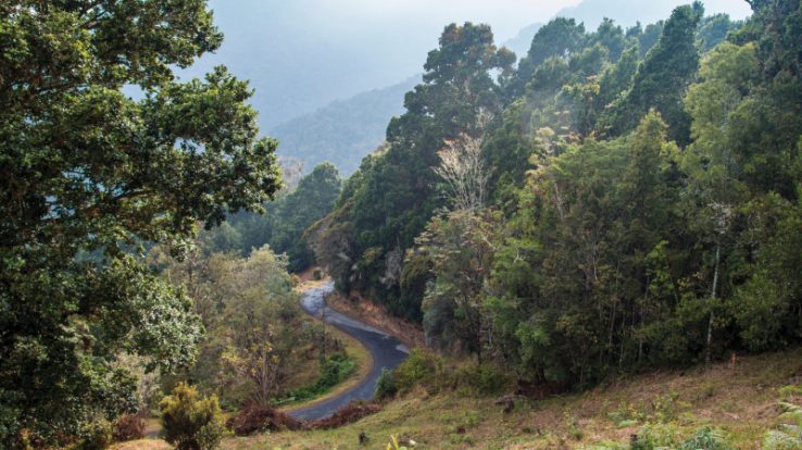On the Road to Shambhala – Providencia and San Geraldo de Dota