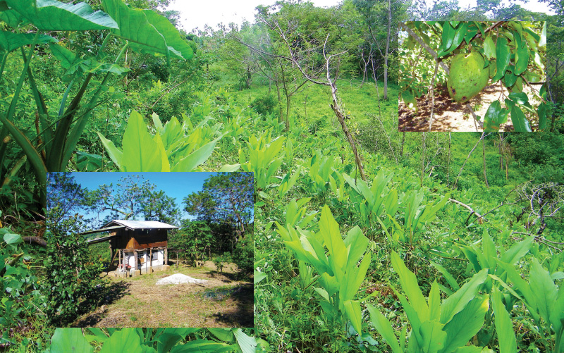 santa-cruz-property-for-sale-costa-rica