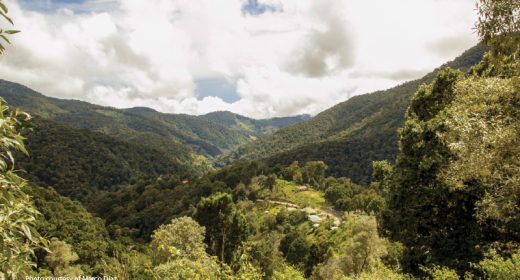 Los  Quetzales  National  Park – Costa Rica’s Shangri-La