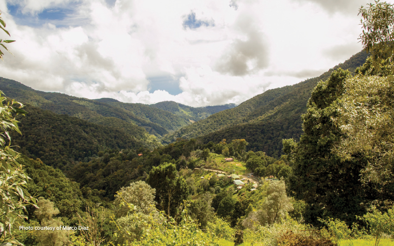 savegre river costa rica