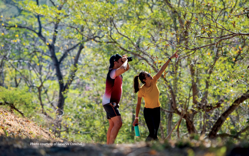 volunteers reserva conchal costa rica