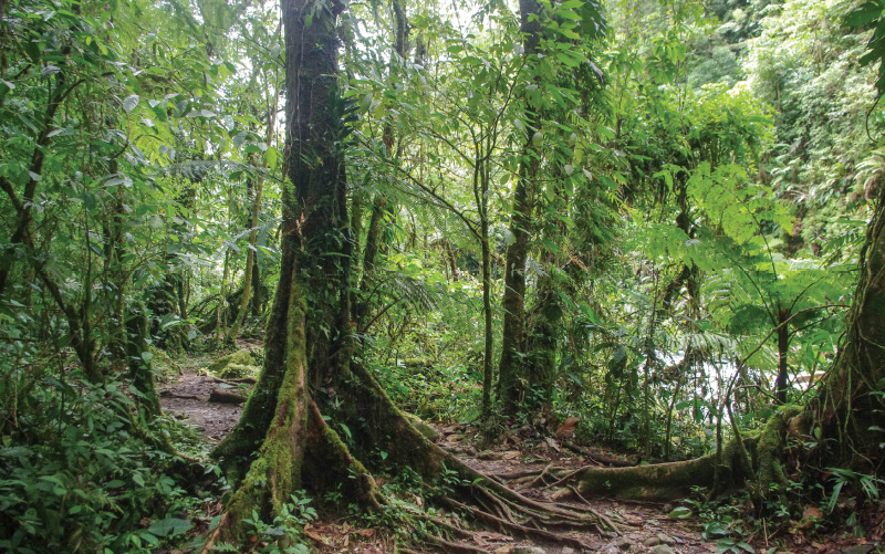 visit-tenorio-national-park-costa-rica