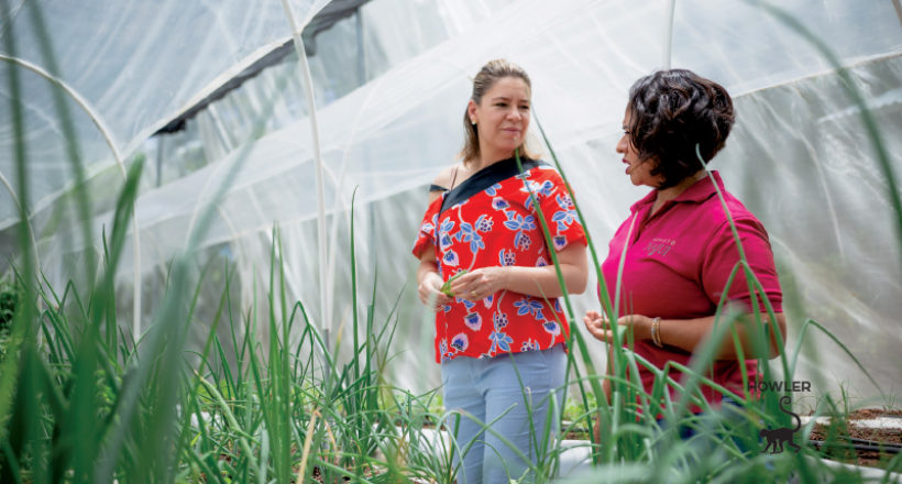 Doing Business Right: Reserva Conchal Helps Local Women