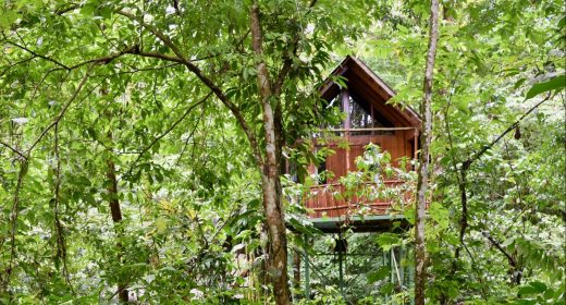 Santa Clara Rainforest Retreat Treehouse Hotel